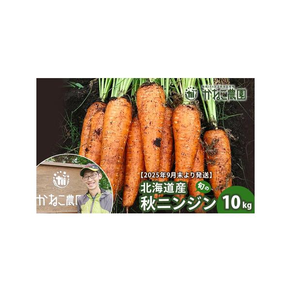 ■ 容量　ニンジン10kg（1本100〜500ｇ）　タイプ：【常温】