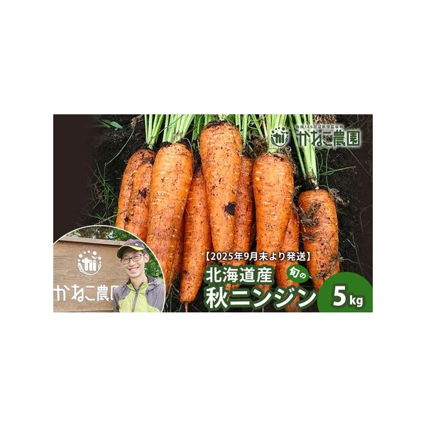 ■ 容量　ニンジン5kg（1本100〜500ｇ）　タイプ：【常温】