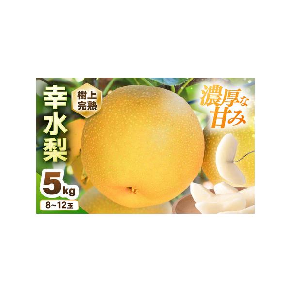 ■ 容量　■ 内容量等　幸水梨 1箱 5kg入り (8〜12玉)　※果肉に影響のない傷等は混ざる場合があります。　　■ 原材料　坂井市産幸水梨　　■ 本品に含まれるアレルギー表示28品目　なし　　■ 賞味期限等　消費期限：到着日より7日以内...