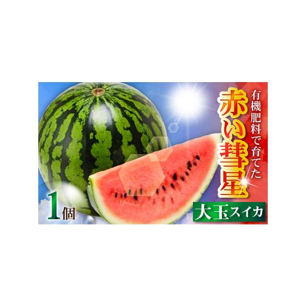 ■ 容量　有機肥料で育てた大玉スイカ＜赤い彗星＞ 1個　---------------------------------------------------　【保存方法】　常温　　【原材料名】　スイカ　　【該当するアレルギー特定原材料等】...
