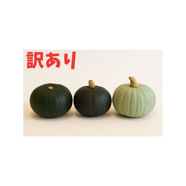 ■ 容量　かぼちゃ(ダークホース/とっておき/特濃こふき)：3種1個ずつ、計3個　　※サイズが小さい場合、個数を増やしてお送りします。　※基本的には「ダークホース・とっておき・特濃こふき」の３種ですが、収穫状況によって、どれかが「栗かぼちゃ...
