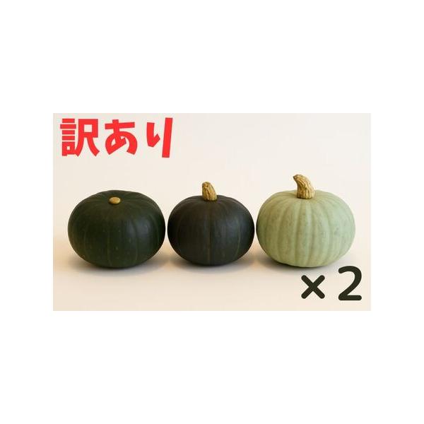 ■ 容量　かぼちゃ(ダークホース/とっておき/特濃こふき)：3種類×2(計6個)　　※サイズが小さい場合、個数を増やしてお送りします。　※基本的には「ダークホース・とっておき・特濃こふき」の３種ですが、収穫状況によって、どれかが「栗かぼちゃ...