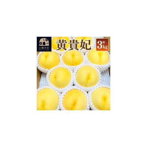 ふるさと納税 【先行受付】9月上旬より発送 黄貴妃 約3kg（9〜13玉前後）モモ もも 黄色桃 秋田県横手市
