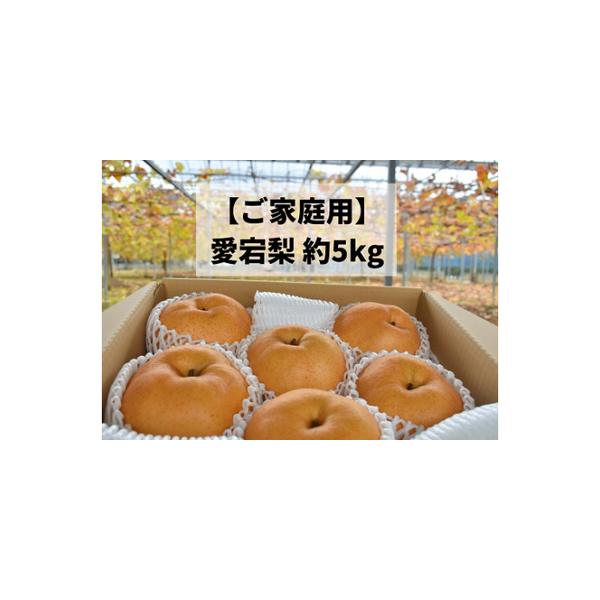 ■ 容量　【容量】　真庭市産　愛宕梨　約５kg　　【賞味期限】　生ものですので、出来るだけ早めにお召し上がりください。■ 配送について　11月以降順次発送　※発送時期は目安ですので、収穫状況により前後する場合があります。　　■配送について　...