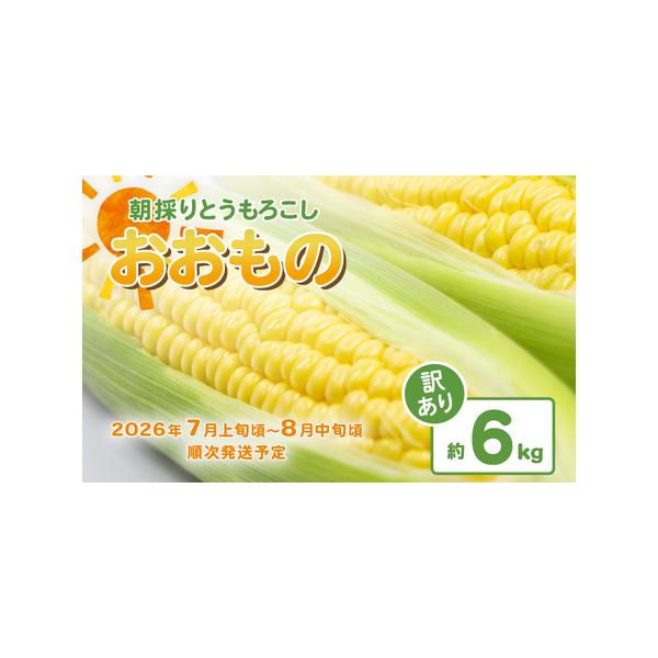 ■ 容量　とうもろこし（おおもの）約6kg　　以下の理由から「訳あり（フードロス対策）品」となります。　※とうもろこしのサイズは大小混在となります。　※虫食いや子持ち、変形などがある、はね出し品となります。■ 配送について　2026年7月上...