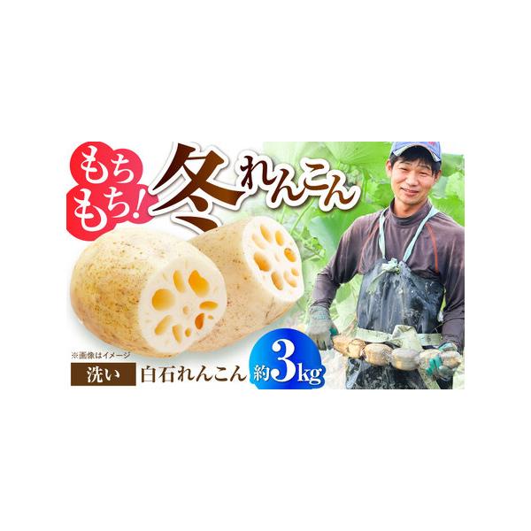 ■ 容量　洗いれんこん：約3kg（約12-24個）　【加工地】　佐賀県白石町　　タイプ：【常温】