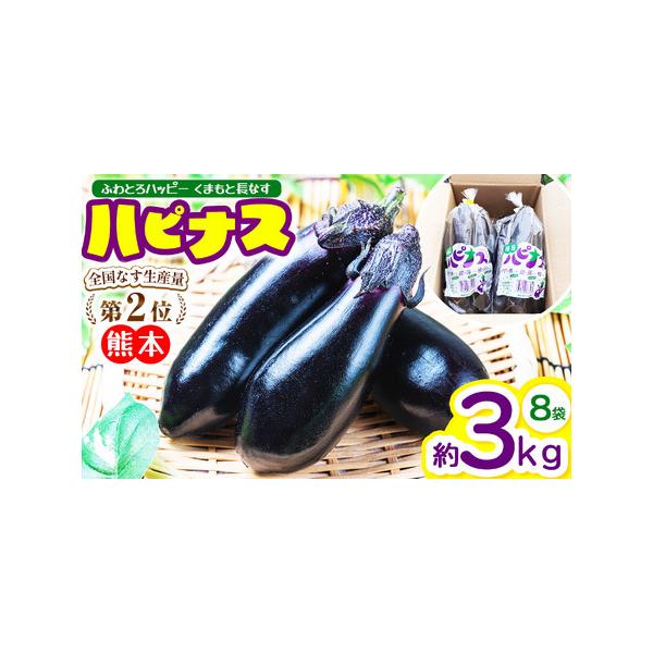 ■ 容量　長なす 約3kg■ 配送について　2025年10月〜2026年6月の期間で順次発送します。　※収穫状況により、発送予定が前後する場合もございます。あらかじめご了承下さい。　タイプ：【常温】