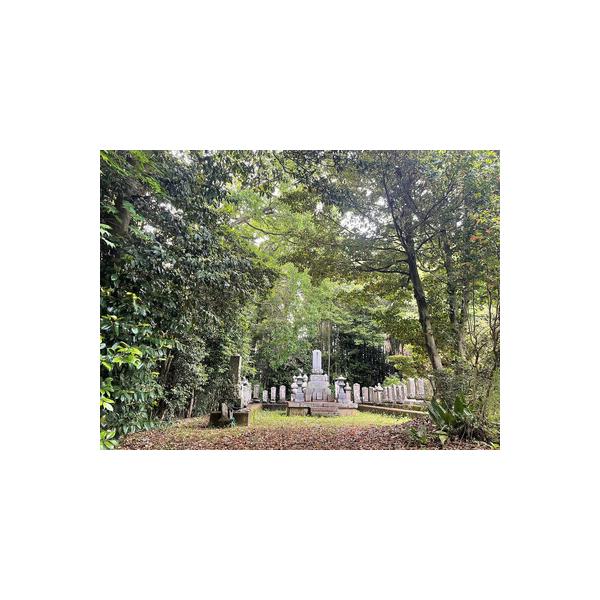 ■ 容量　お墓掃除代行　※2坪まで対応　※作業時間：約2時間　※お掃除の後は、お線香とお花をお供えいたします。　【有効期限】　有効期限　弊社よりお送りする申し込み書到着より６カ月■ 配送について　ご入金確認後、2週間程でお申込書をお送りいた...