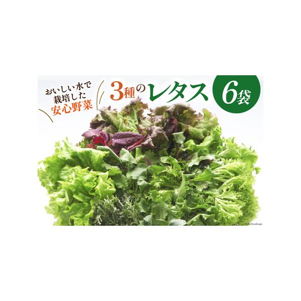 ■ 容量　■内容量　1箱6個入り／各種60g以上　（フリルレタス×2、フラワーリーフ×2、マルチレタス×2）　　■賞味期限　冷蔵5日　　■生産地　舟橋村■ 配送について　決済より40日以内に順次出荷予定　タイプ：【冷蔵】