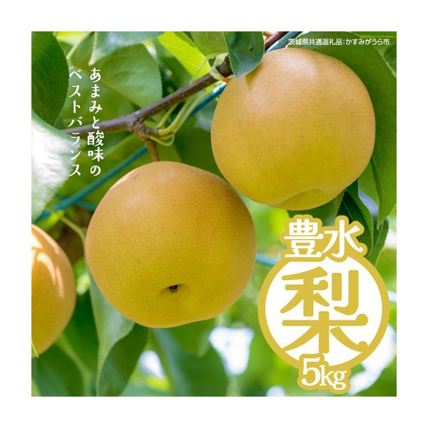 ふるさと納税 豊水 約5kg（茨城県共通返礼品：かすみがうら市） 2026年9月上旬発送開始 梨 数量限定 なし ナシ フルーツ 果物 旬 産地直送 [FF00.. 茨城県桜川市