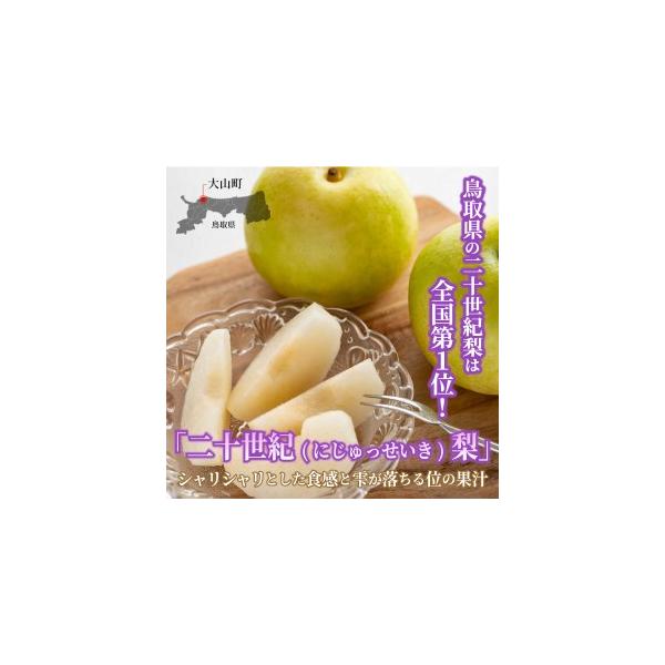 ■ 容量　青秀以上（赤秀または青秀）５ｋｇを１箱※等級・玉サイズ・玉数は指定できません■ 配送について　8月下旬〜9月中旬に随時発送予定（収穫状況によって若干前後する場合もあります。）  　タイプ：【常温】