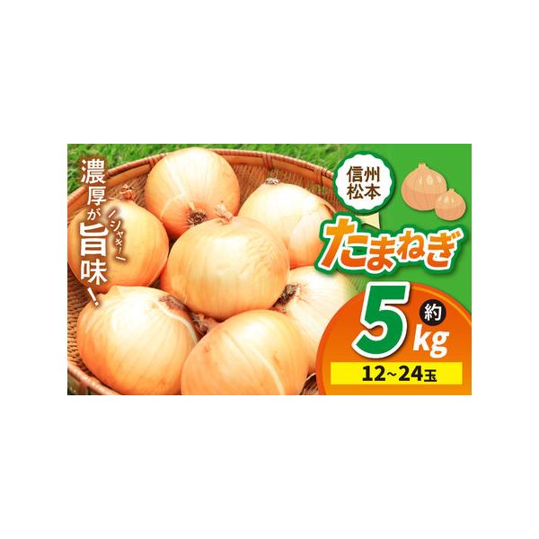 ■ 容量　たまねぎ 2L〜M 12〜24玉 約5kg　タイプ：【常温】