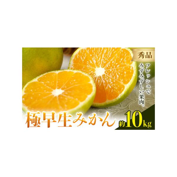 みかん 極早生みかん 秀品 約10kg 《10月上旬-10月末頃出荷》日本フルーツ株式会社 フルーツ 果物 みかん 柑橘 熊本県荒尾市