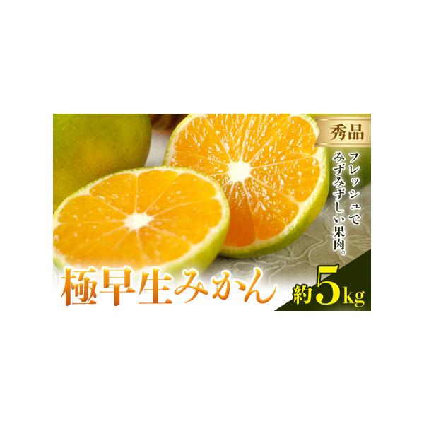 みかん 極早生みかん 秀品 約5kg 《10月上旬-10月末頃出荷》日本フルーツ株式会社フルーツ 果物 みかん 柑橘 熊本県荒尾市