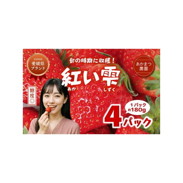 ふるさと納税 【2027年春収穫分】紅い雫 4パック（約720g） | いちご