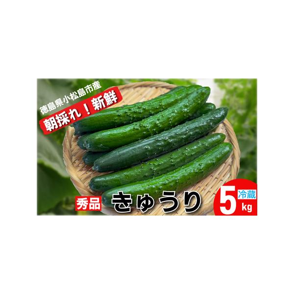 ■ 容量　5kg■ 配送について　【申込期日】　通年　　【配送不可地域】　北海道、東北、沖縄、離島地域には配送できません。　タイプ：【冷蔵】