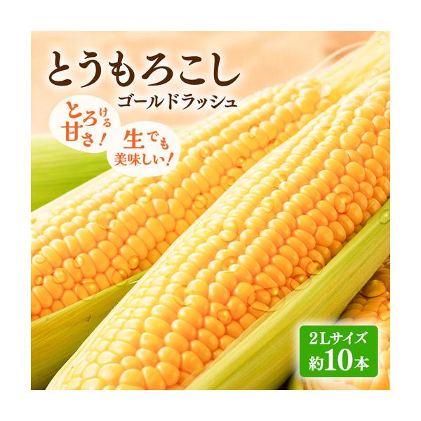 ふるさと納税 【2026年発送】富良野産 とうもろこし ゴールドラッシュ