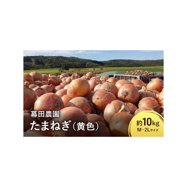 ■ 容量　富良野産　黄玉ねぎ　約10kg（約30〜40玉） M〜2Lサイズ　■ 配送について　2026年10月上旬〜末日まで　　タイプ：【常温】