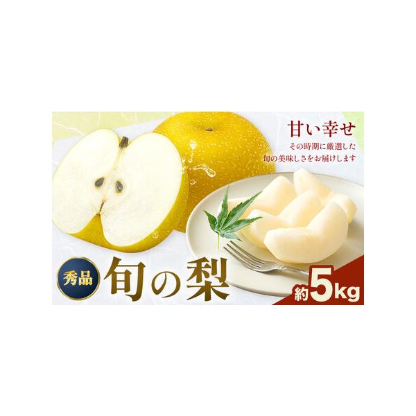 荒尾市産 梨 約5kg