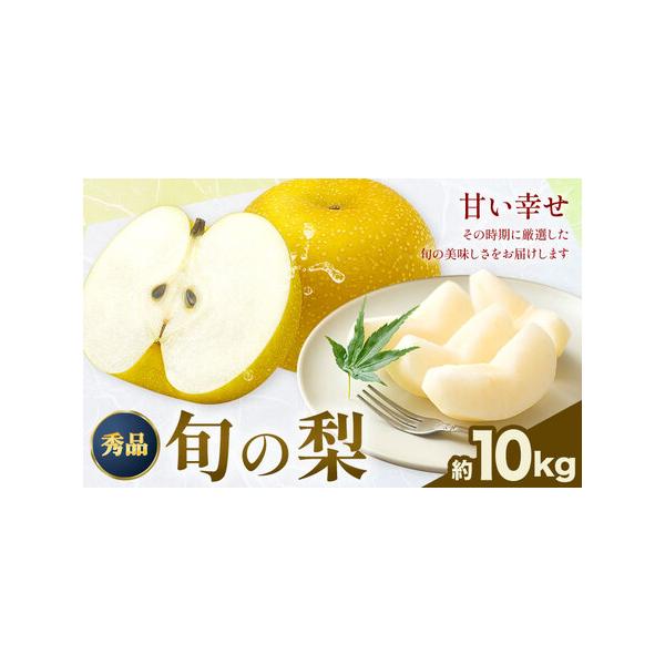 荒尾市産 梨 約10kg