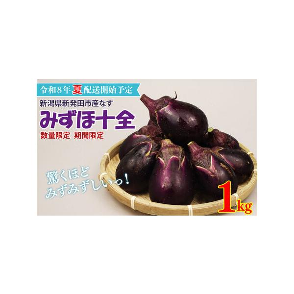 ■ 容量　1kg （ 約 15 個）　※個数は大きさによって前後します。個数を確約するものではございません。　タイプ：【冷蔵】