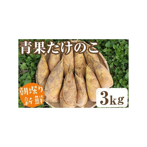 ■ 容量　青果たけのこ：3kg　※大きさには多少のバラつきがございます。■ 配送について　2026年2月下旬以降順次発送予定　※天候と生育状況により発送が前後する場合があります。　タイプ：【冷蔵】