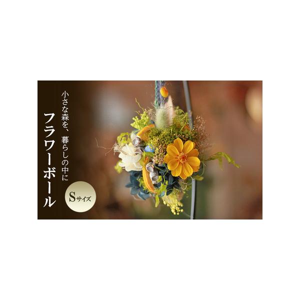 ■ 容量　フラワーボール Sサイズ　　タイプ：【常温】