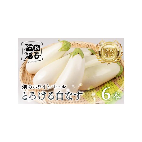 ■ 容量　●白茄子 6本　受付締切：7月中旬　※お申込み期日内にご入金をお願いいたします。　※発送時期以外のお申し込みは先行予約となります。　※お申込みの状況により受付締切日を早めさせていただく場合もございますがご了承ください。■ 配送につ...