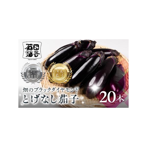 ■ 容量　●とげなし茄子　本数：20本　受付締切：7月中旬　※お申込み期日内にご入金をお願いいたします。　※発送時期以外のお申し込みは先行予約となります。　※お申込みの状況により受付締切日を早めさせていただく場合もございますがご了承ください...