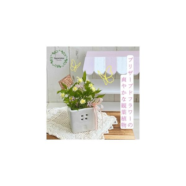 ■ 容量　ブリザーブドフラワー　ファム　ピンク　１個　【サイズ】　商品サイズ：約W5.5×D6×H13.5cm　ケースサイズ：W10.5×D10.5×H13cm　■ 配送について　ご入金確認後、2週間程で発送いたします。　※配送対象外【離島...