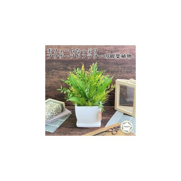 ■ 容量　プリザーブドフラワー　ラシーヌ　１個　【サイズ】　約W23×D23×H28cm　■ 配送について　ご入金確認後、2週間程で発送いたします。　※配送対象外【離島・北海道・沖縄】　タイプ：【常温】