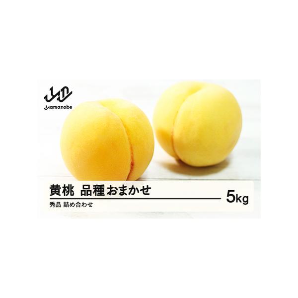 ■ 容量　約5kg（12〜20玉入り）　※秀品■ 配送について　2026年8月上旬〜9月下旬頃　（天候等の影響により配送時期が前後する場合がございます。）　タイプ：【冷蔵】