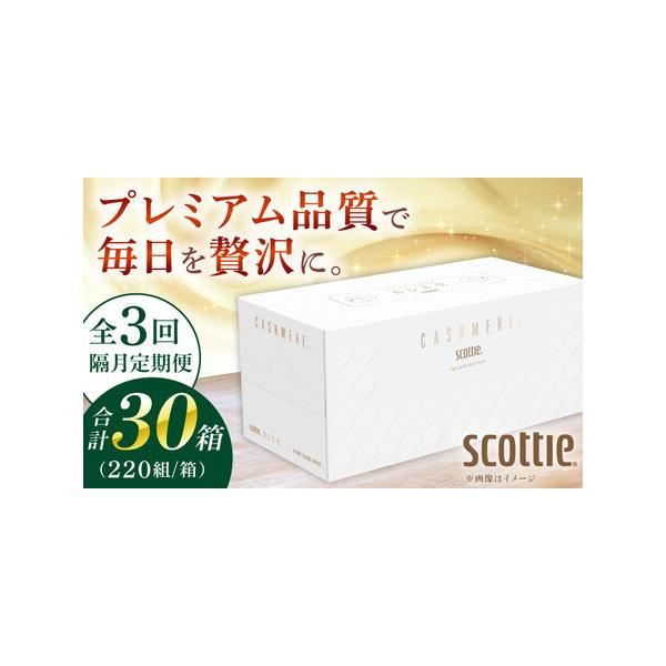 ふるさと納税で手に入る高品質ティッシュ定期便[BDAM033]