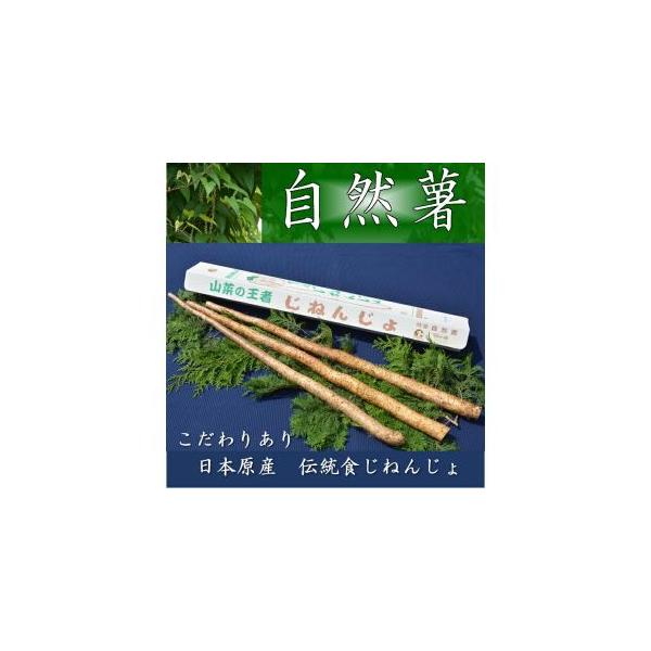 ■ 容量　自然薯2〜3本　1.5kg以上　特上品■ 配送について　2025年11月下旬頃より順次発送　以降は15日以内に発送いたします　　※3月から11月の期間は冷蔵　タイプ：【常温】【冷蔵】