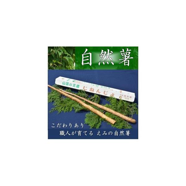 ■ 容量　自然薯2本　1kg以上と季節の野菜ほんのちょっと■ 配送について　2025年11月下旬頃より順次発送　以降は15日以内に発送いたします　　※3月から11月の期間は冷蔵　タイプ：【常温】【冷蔵】