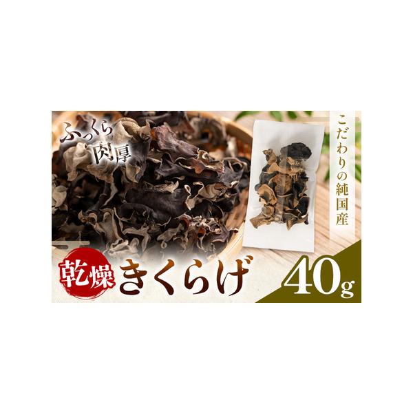 ■ 容量　40g（20g×2袋）■ 配送について　30日以内に出荷予定(土日祝除く)　　タイプ：【常温】