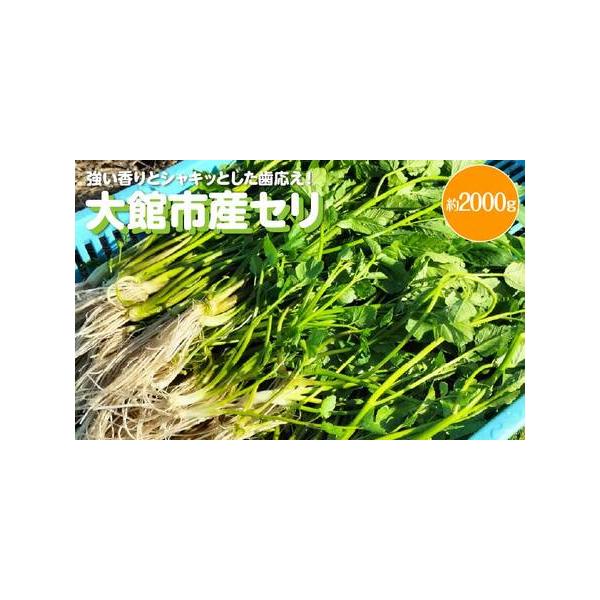 ■ 容量　セリ 約2000g　　■消費期限発送日から5日■ 配送について　入金確認後、4週間以内に発送　※ＧＷ、お盆、年末年始等の長期休暇のため、発送が遅れる場合があります。　タイプ：【冷蔵】