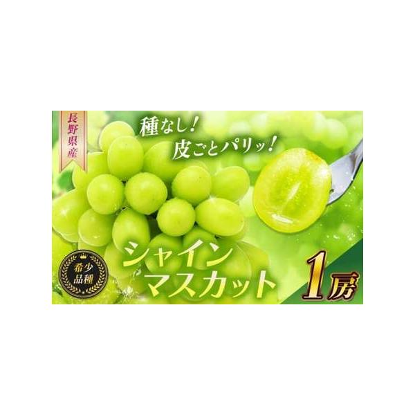 ■ 容量　シャインマスカット 1房■ 配送について　2026年10月上旬より順次発送いたします。　　※収穫状況によって発送時期が前後する場合がありますので、予めご了承ください。　タイプ：【冷蔵】