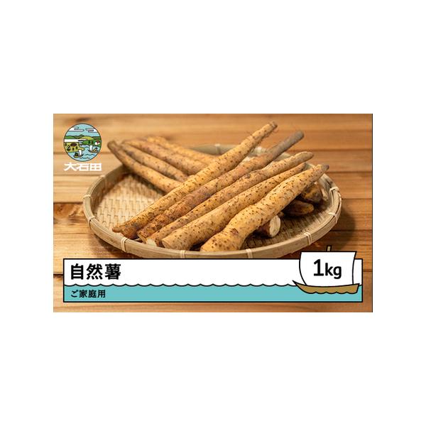 ■ 容量　約1kg■ 配送について　ご入金確認後、2週間程度で発送となります。　※夏季期間および、発送エリアに応じてクール便で発送いたします。　タイプ：【常温】【冷蔵】