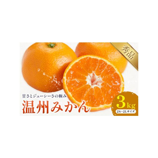 温州みかん 約3kg 日本フルーツ株式会社 熊本県 荒尾市 《10月中旬-2月下旬頃出荷》