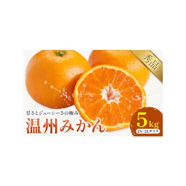 温州みかん 約5kg 日本フルーツ株式会社 熊本県 荒尾市 《10月中旬-2月下旬頃出荷》