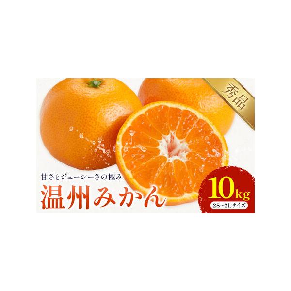 温州みかん 約10kg 日本フルーツ株式会社 熊本県 荒尾市 《10月中旬-2月下旬頃出荷予定》