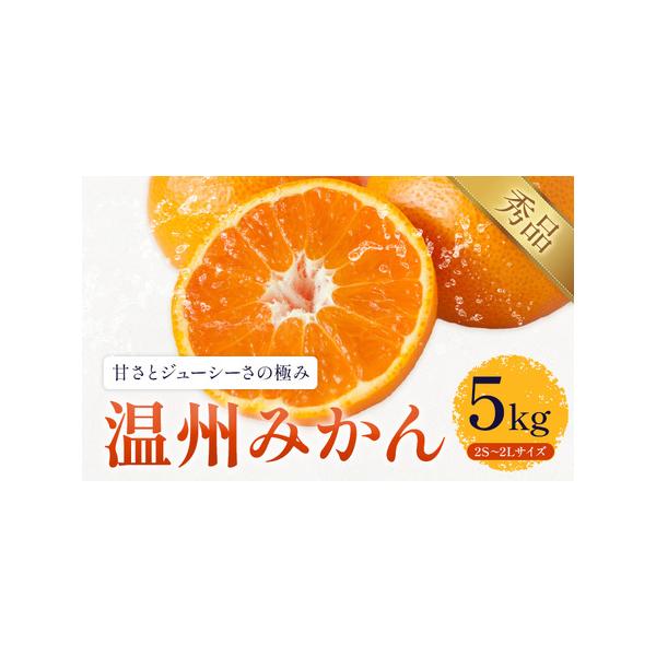 温州みかん 約5kg 日本フルーツ株式会社 ミカン 熊本県長洲町