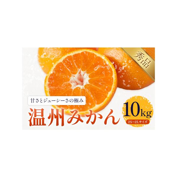 温州みかん 約10kg 日本フルーツ株式会社 ミカン 熊本県長洲町