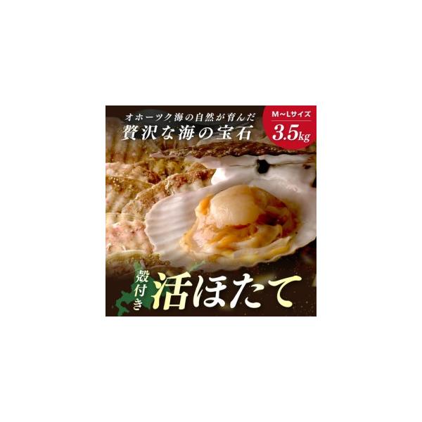 【ふるさと納税】【予約：2026年3月下旬から順次発送】北海道オホーツク産 漁師直送 殻付きプレミアムホタテ 3.5kg