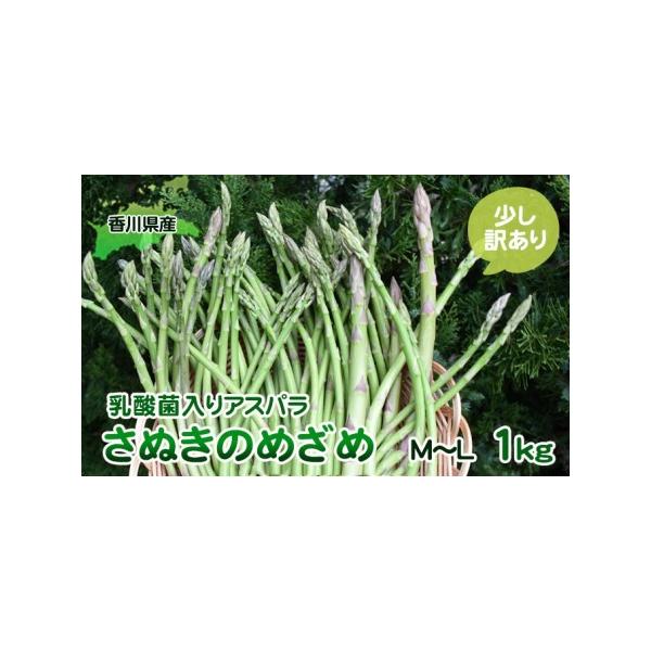 ■ 容量　アスパラセミロング 訳あり1kg（M〜L）（30cm前後）／東かがわ市　■ 配送について　2026月2月中旬〜10月下旬　　タイプ：【冷蔵】