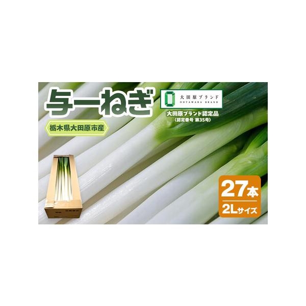 ■ 容量　与一ねぎ　2Lサイズ　27本　【保存方法】　冷蔵保存(6℃以下で保存)　【賞味期限】　発送後5日程度■ 配送について　ご入金確認後、2週間以内を目途に発送いたします。　タイプ：【冷蔵】