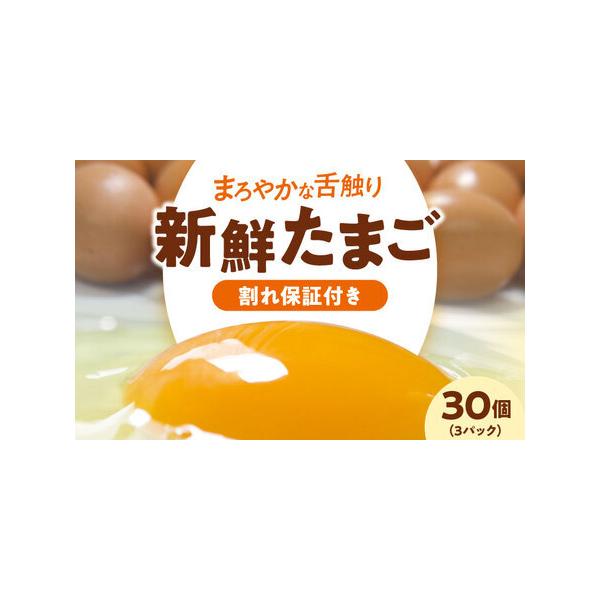 ふるさと納税 卵 平飼い（3パック）卵 30個[AGDQ001] 愛媛県大洲市