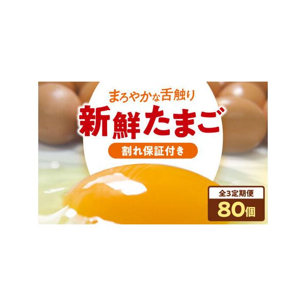 ふるさと納税 卵 定期便【3回】（8パック）平飼い卵[AGDQ011] 愛媛県大洲市
