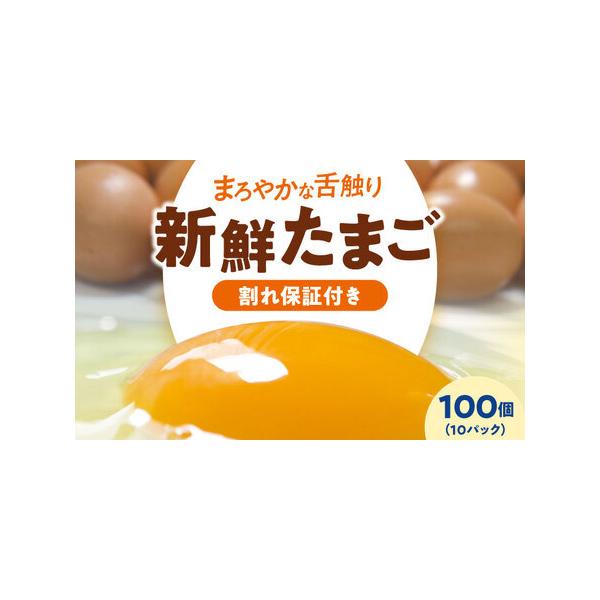 ふるさと納税 平飼い 卵（10パック）たまご 100個[AGDQ004] 愛媛県大洲市